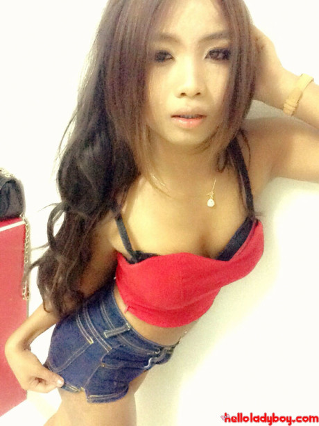 Attractive oriental t-girl Lee Ya flaunts her firm gigantic boobs and poses in a solo - #24685