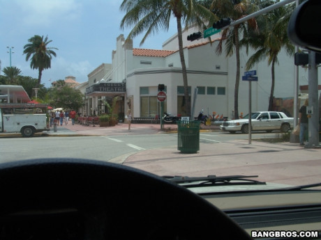 American newbie with big melons and booty Vanessa Michaels rides & licks jizz - #261018