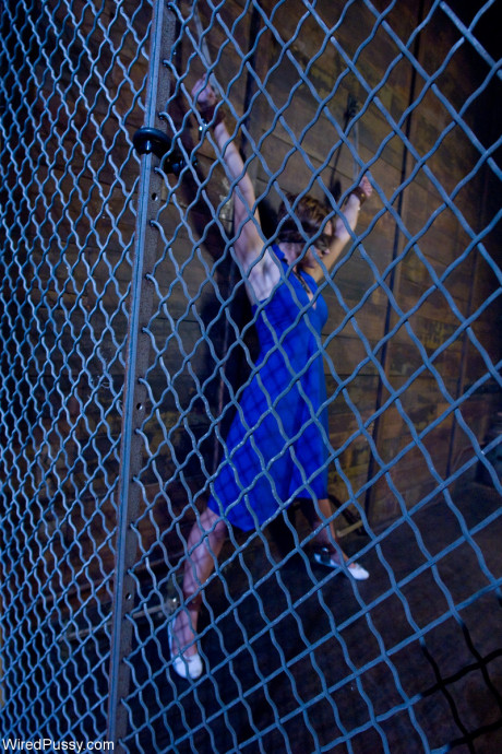 Wired cunt featuring Layla Kay, Princess Donna Dolore Porn Gallery - #269150