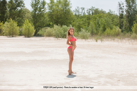 Young teen blondie girl girl girl Linda A shows her tight behind and slit on a sandy beach - #257704