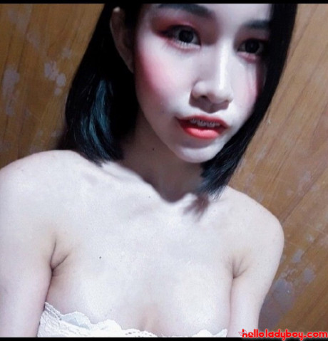 Lovely asian ladyboy Nancy posing in various cute outfits in her compilation #8240