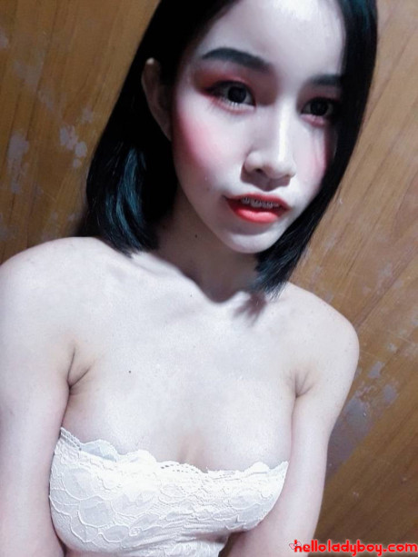 Lovely asian ladyboy Nancy posing in various cute outfits in her compilation - #149970