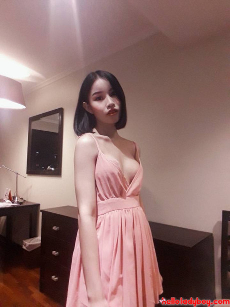 Lovely asian ladyboy Nancy posing in various cute outfits in her compilation - #149975