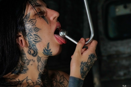 The Life Erotic starring Katty Blue Hot Porn - #233401