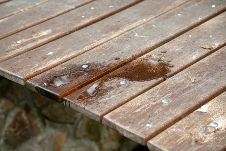 Kinky teen Nika peeing in a stream while squatting naked on a bridge - #246487