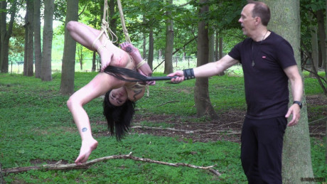 Undressed brunette Crystal Cherry gives a blowjob after being flogged in the woods - #214187