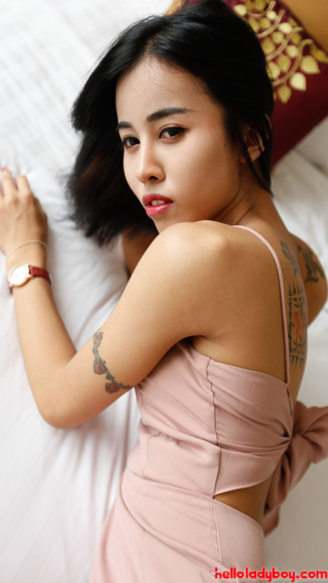 Fine lovely chinese lady boy Nene unveils her rock-hard dick and gives a POV bj - #241668