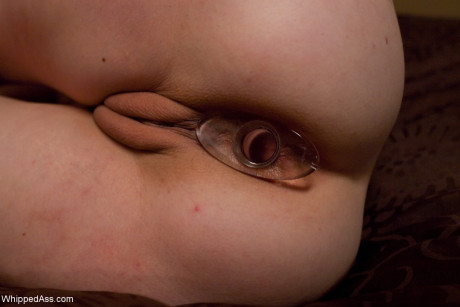 Whipped behind starring Bobbi Starr, Seda Hot Pictures - #233348