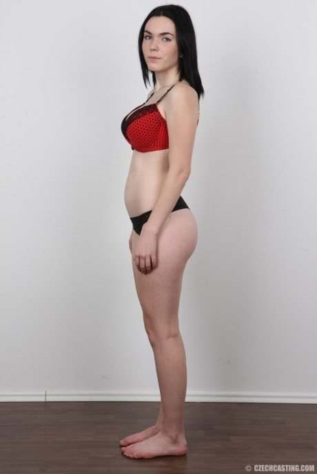 Amateur Petra has perky boobies and gigantic nipples photographed for a casting call - #188489